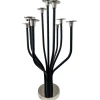 Godinger Radiant Tree 9 Light Black & Silver Candelabra